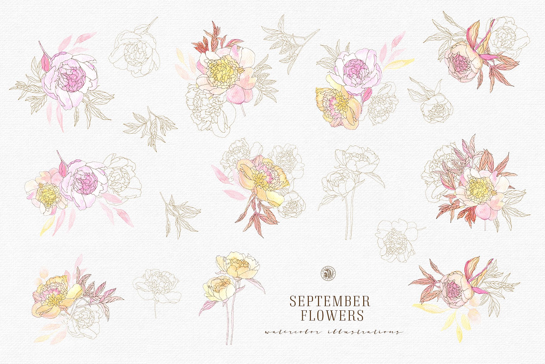 九月淡雅风水彩手绘花卉插画素材v2 September Flowers vol.2插图(5)