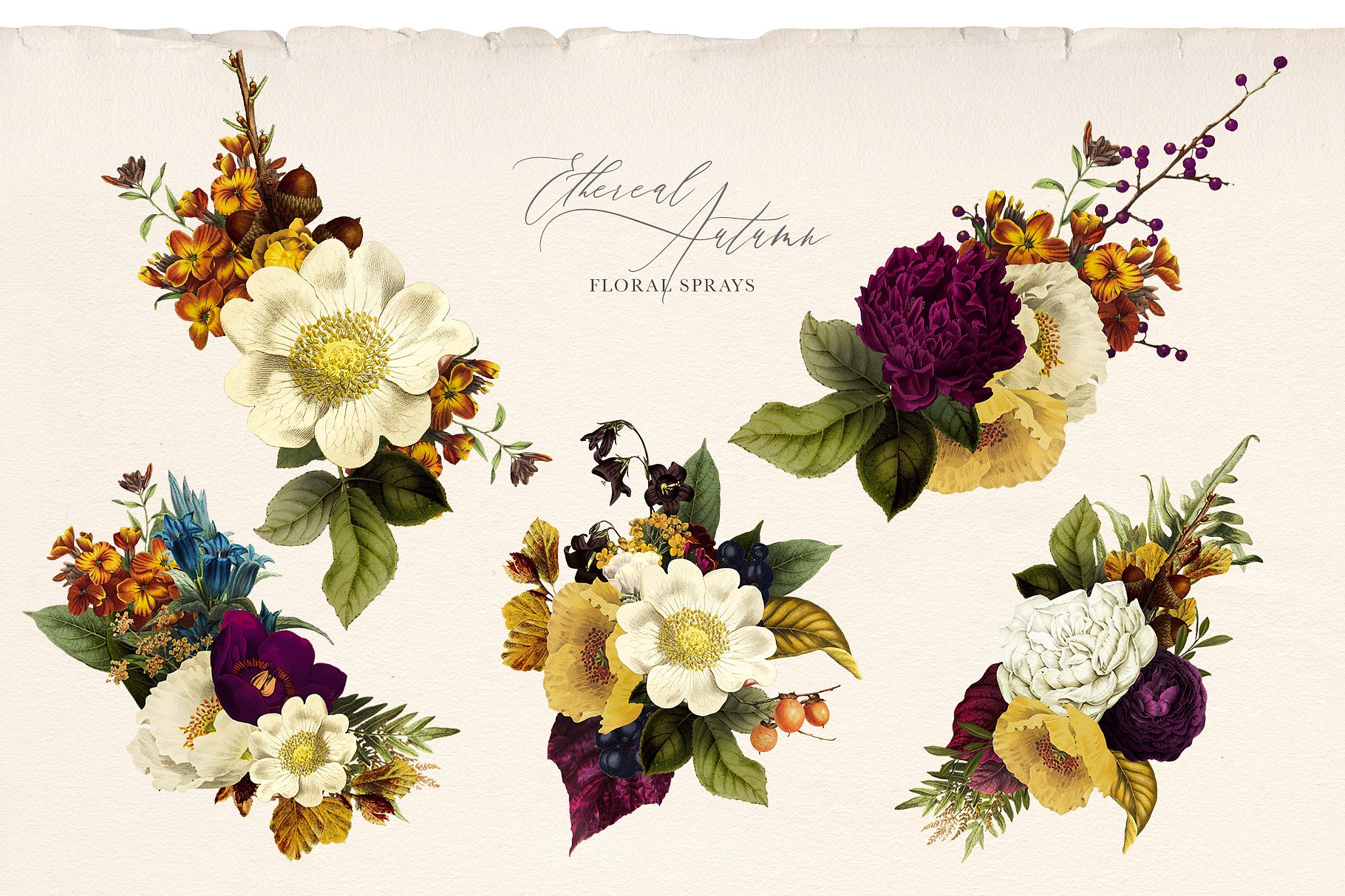 栩栩如生的秋天花束插画 Ethereal Autumn Floral Bouquets插图(11)