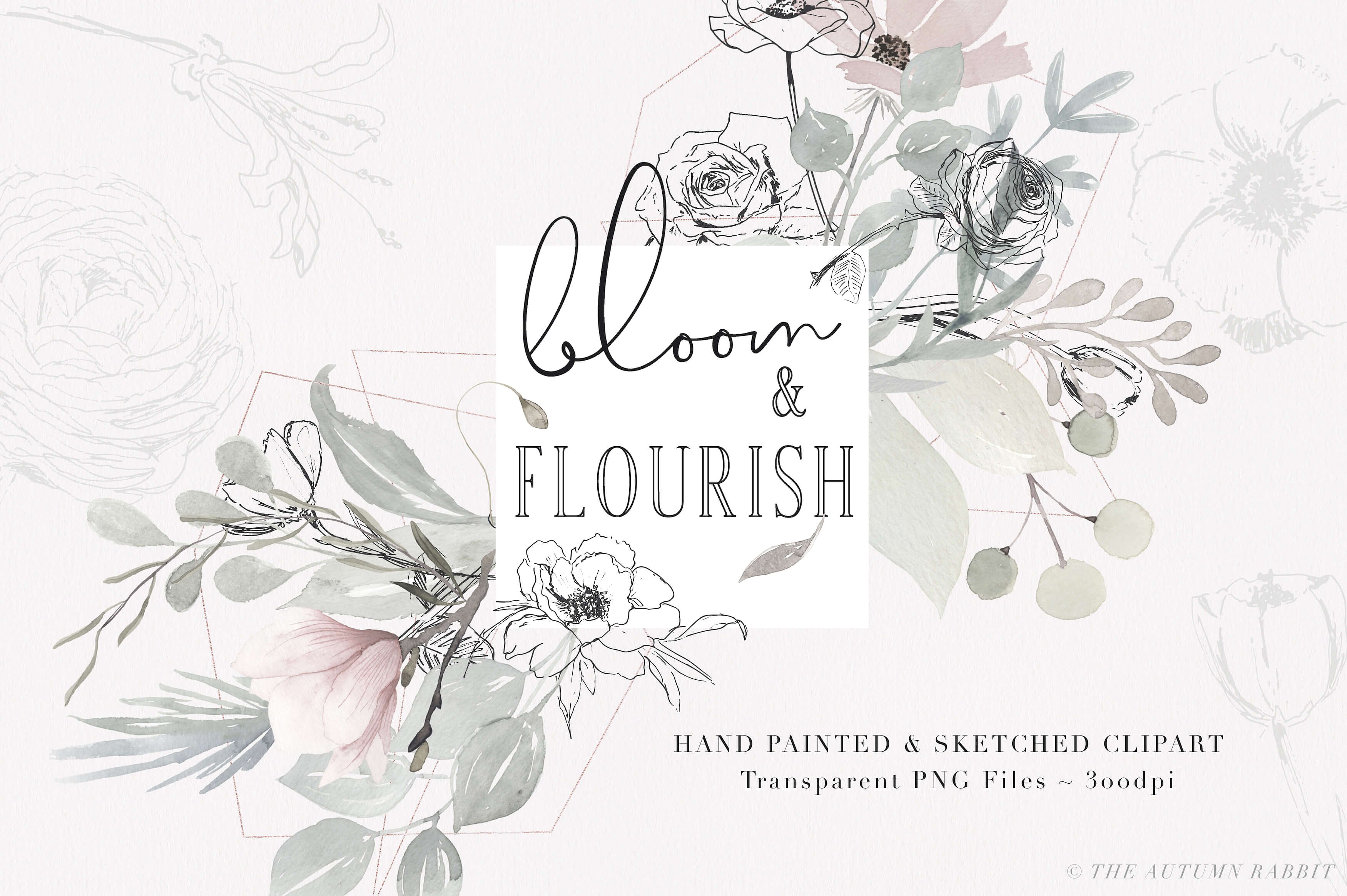 淡雅手绘素描花卉剪贴画 Bloom & Flourish – Floral Clipart插图
