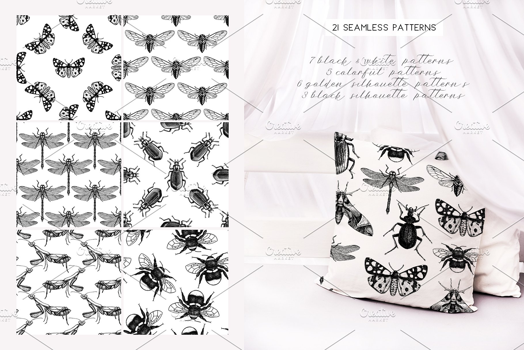 昆虫矢量插图集 Vector Insects Illustrations Set插图(8)