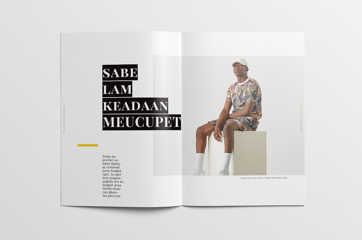 时尚极简的代言人简介杂志模板下载[indd]插图(10)