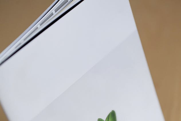 宣传册/小册子/目录设计预览样机素材库精选模板 Brochure / Booklet / Catalog Mock-Up PSD插图(9)