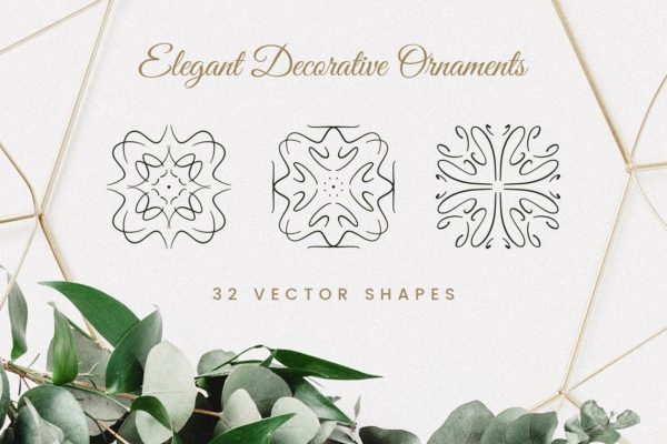 优雅装饰元素插画 Elegant Decorative Ornaments