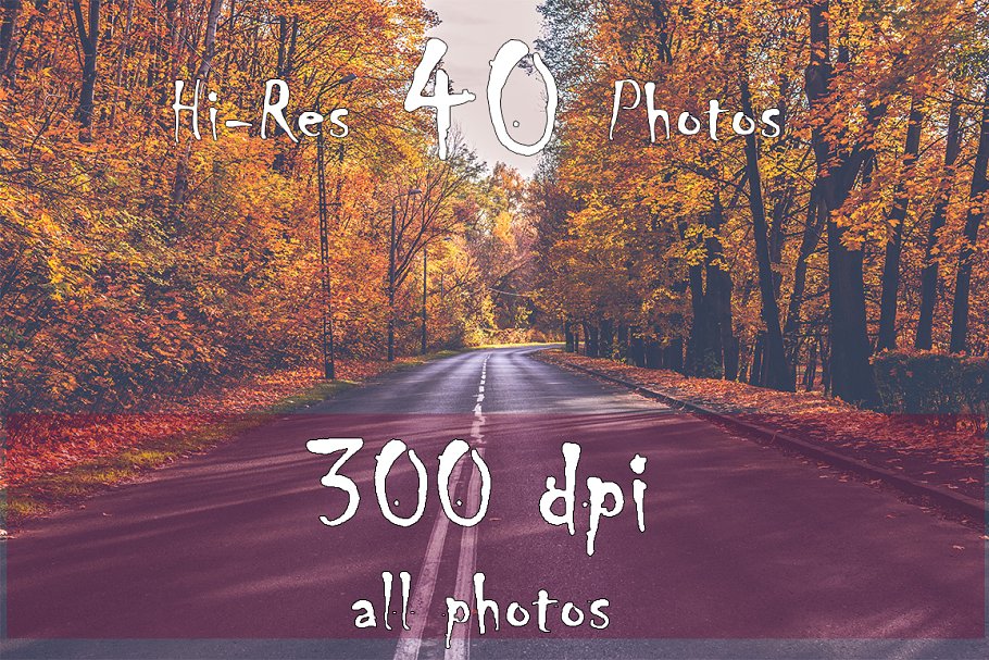 秋天主题高清照片素材 Autumn Photo Pack插图(3)