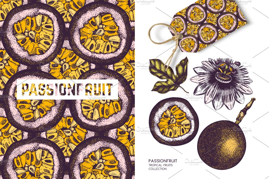 热带水果和植物图案纹理 Tropical Fruits & Plants Patterns插图(6)