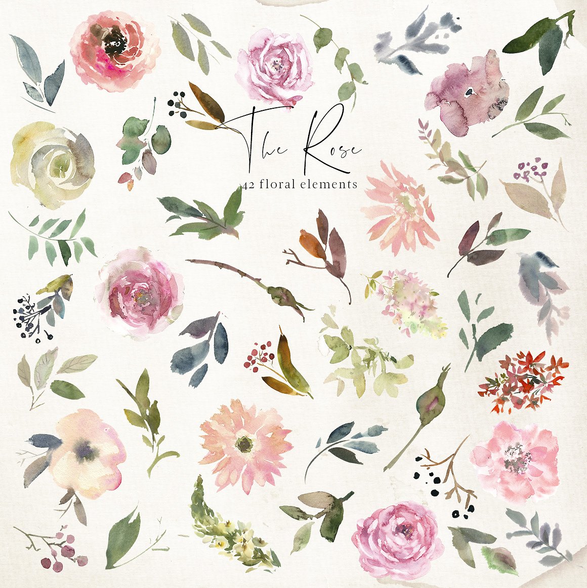 水彩玫瑰花花饰剪贴画 The Rose Watercolor Floral Clipart插图(6)