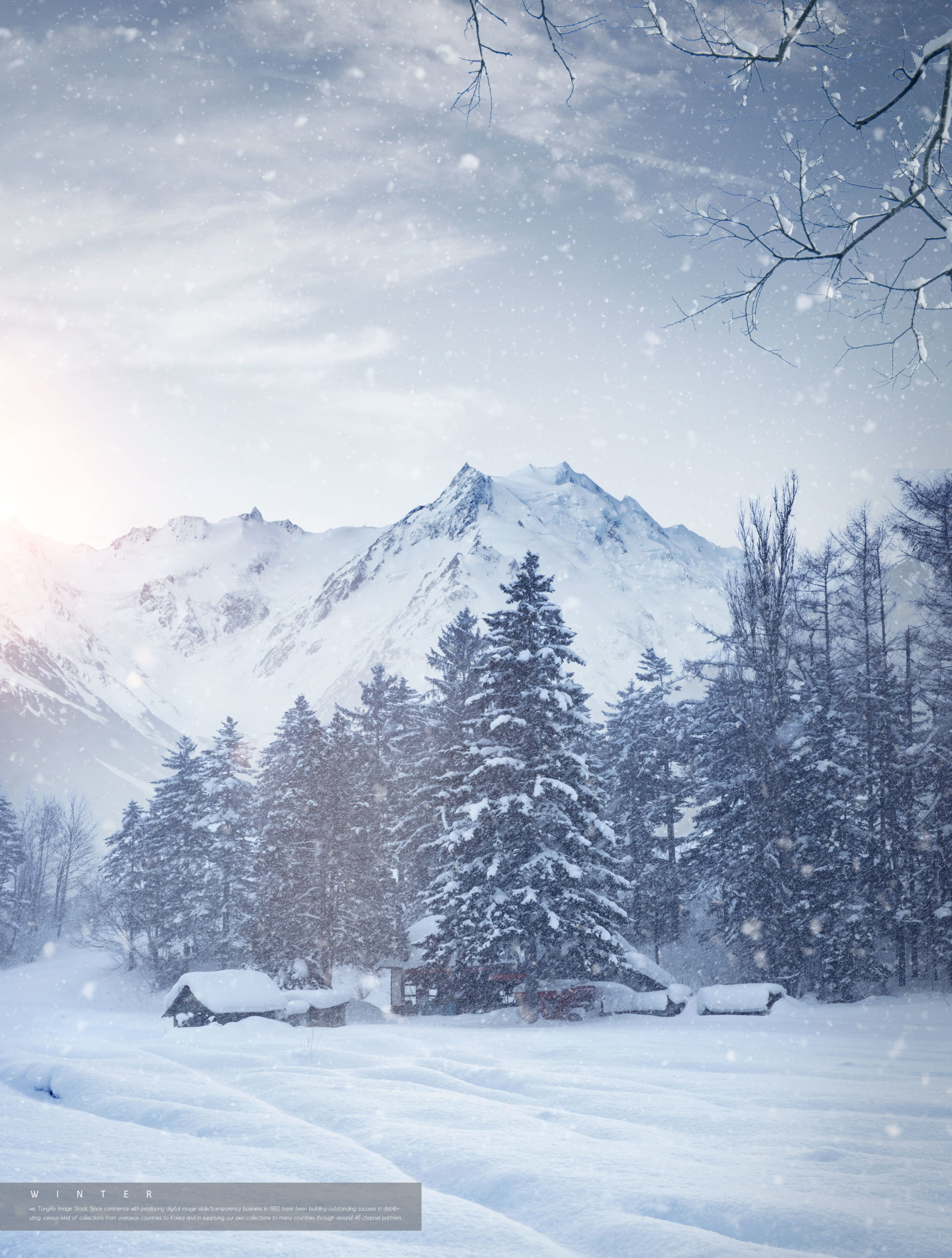 冬季雪景背景图片psd素材合集插图(5)