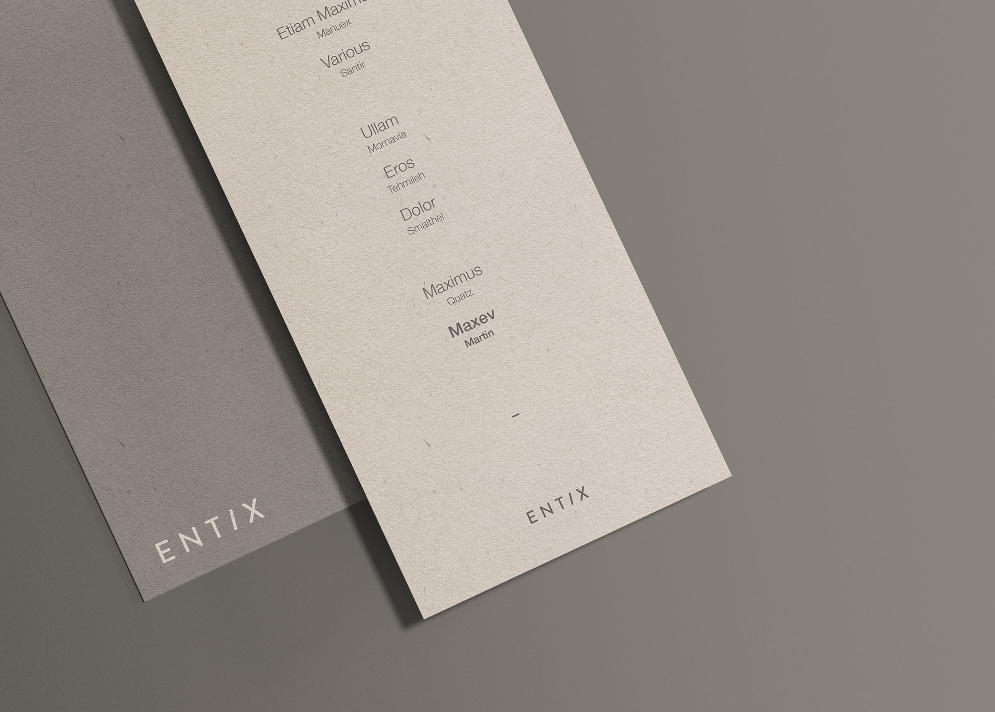 高端简约DL传单设计效果图样机模板 DL Flyer Mockup插图(1)