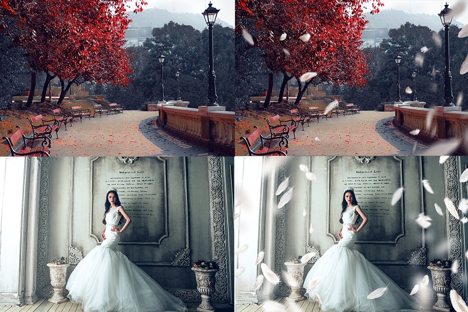 5K高清分辨率羽毛叠层背景 5K Feathers Overlays插图(4)