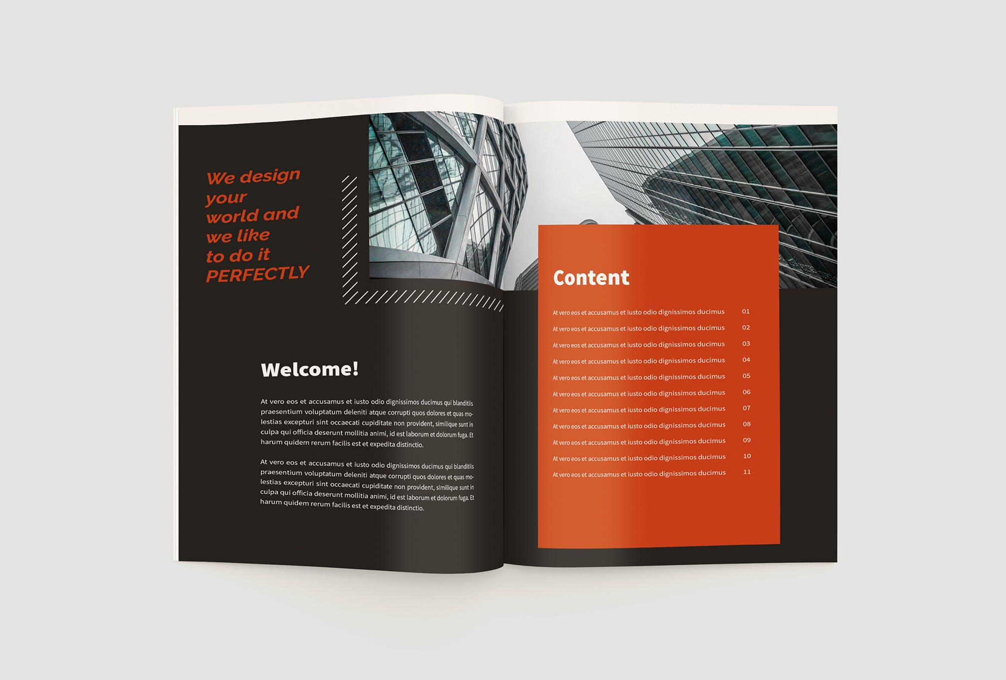 项目商业计划书/项目提案设计模板 The Project Company Profile插图(3)