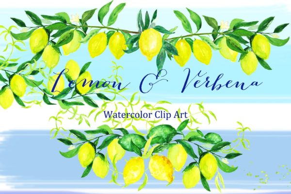 浪漫温柔的水彩柠檬马鞭草元素 Lemon &amp; verbena. watercolors