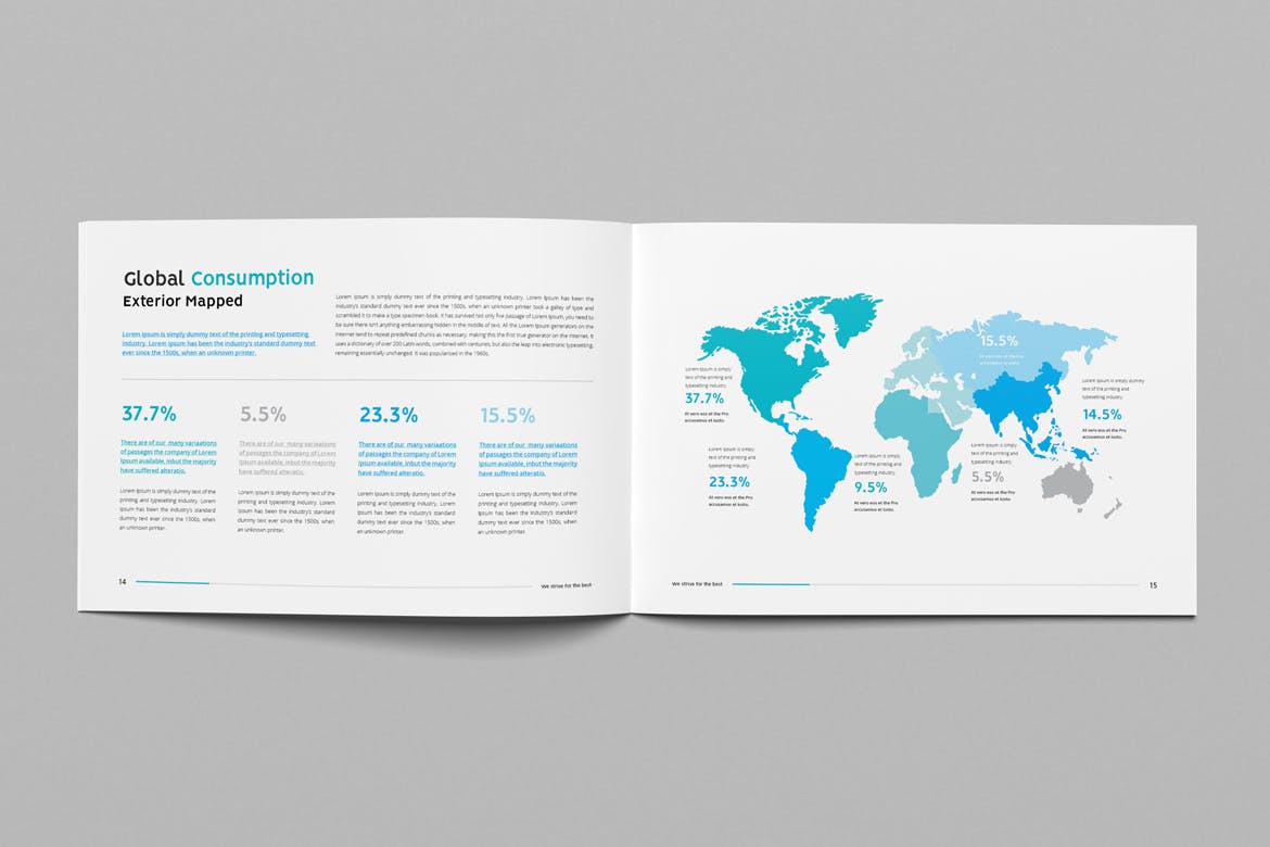 经典风格企业公司宣传画册设计模板 Company Profile Landscape插图(7)