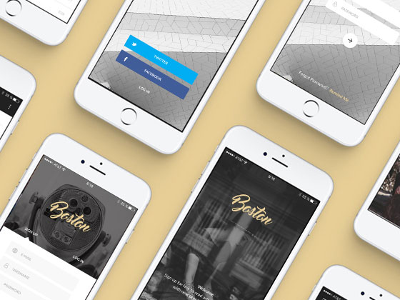 Boston 登录表单素材之家精选sketch素材