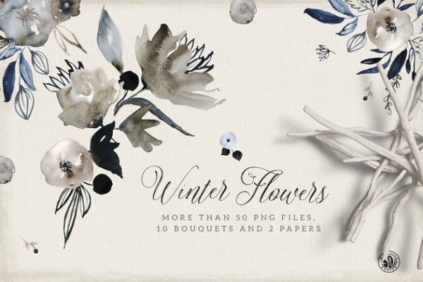 冬天花卉水彩剪贴画 Winter Flowers