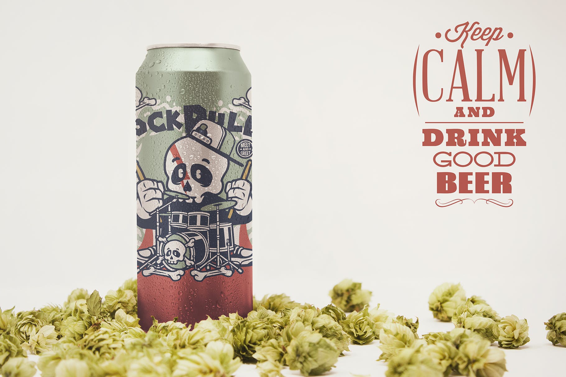 16oz啤酒罐易拉罐外观设计前视图素材库精选 Front 16oz Beer Can Mockup插图(2)