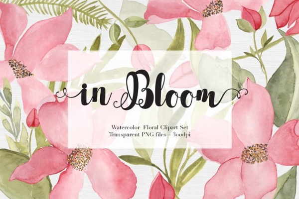 22款独特的手绘水彩花卉剪贴画 Watercolor Flowers Clipart Set