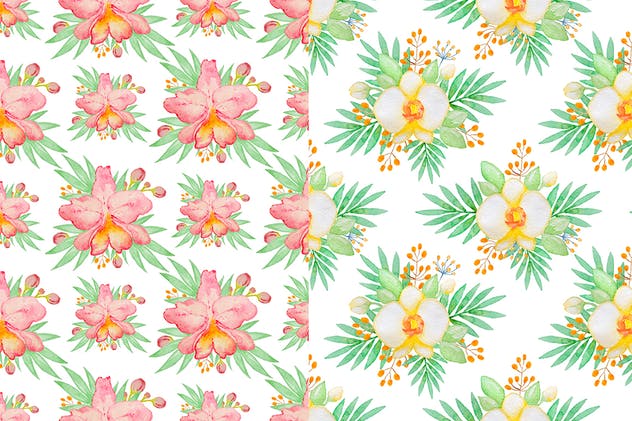 热带主题手绘水彩图案合集 Watercolor Tropical Kit插图(5)