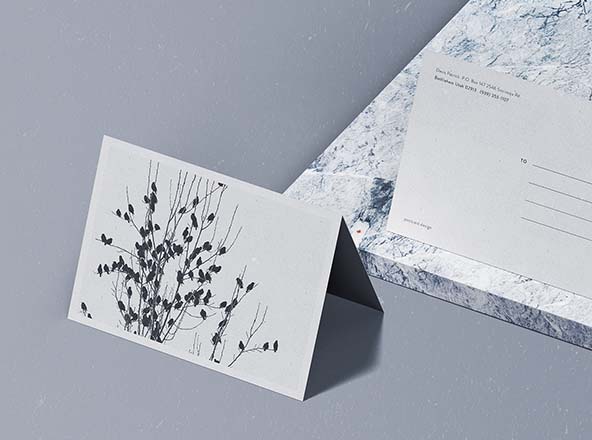 折叠式明信片设计效果图样机素材库精选 Folded Postcard Mockup