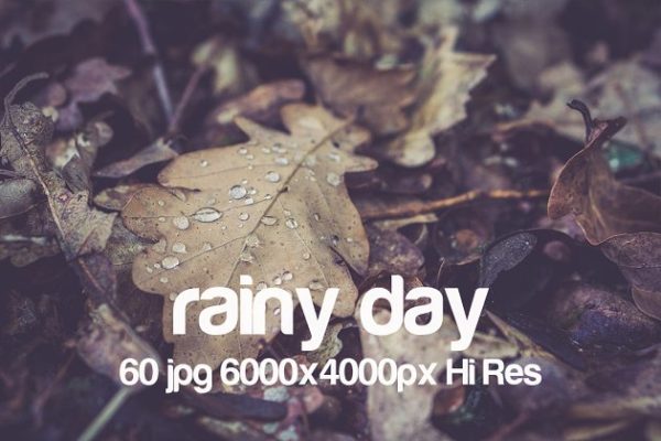 高清下雨天景色照片 Rainy day photo pack