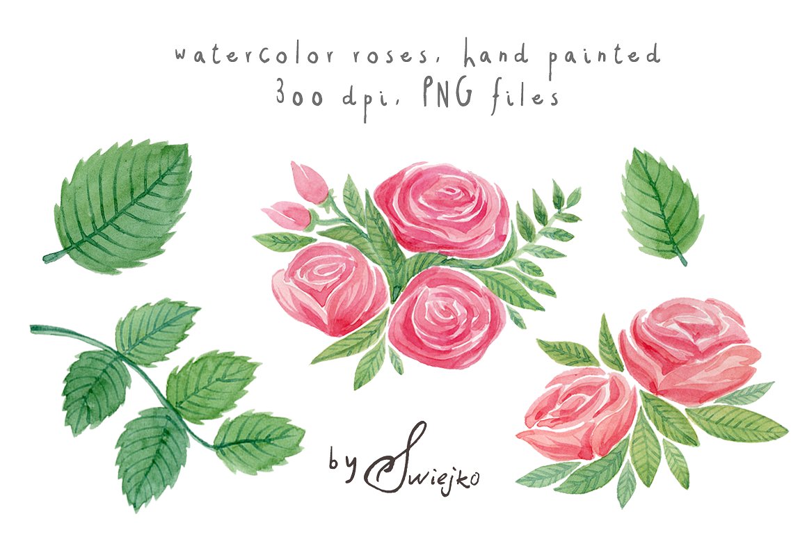 简约水彩玫瑰花剪贴画 Watercolor Roses插图