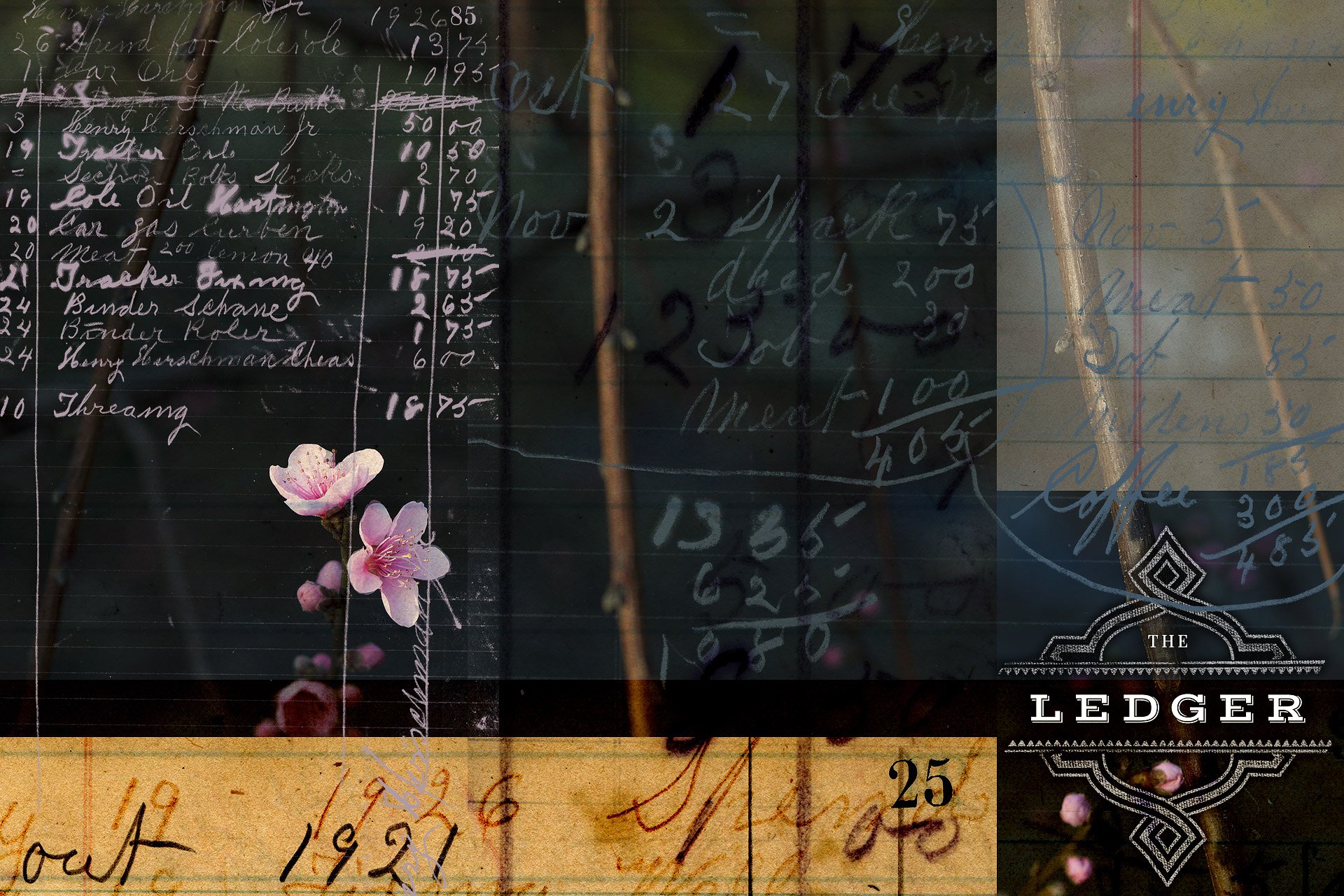 复古分类账本高清叠层&纸张 Ledger Hi-Res Overlays & Papers插图(10)