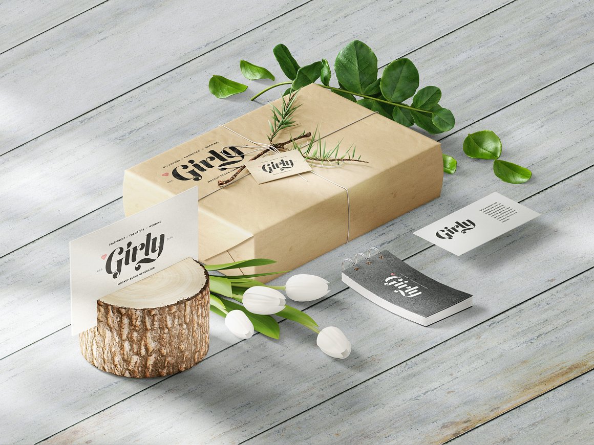 美容化妆女性品牌样机大合集 Beauty, Stationery, Wedding, Cosme..[7.69GB]插图(11)