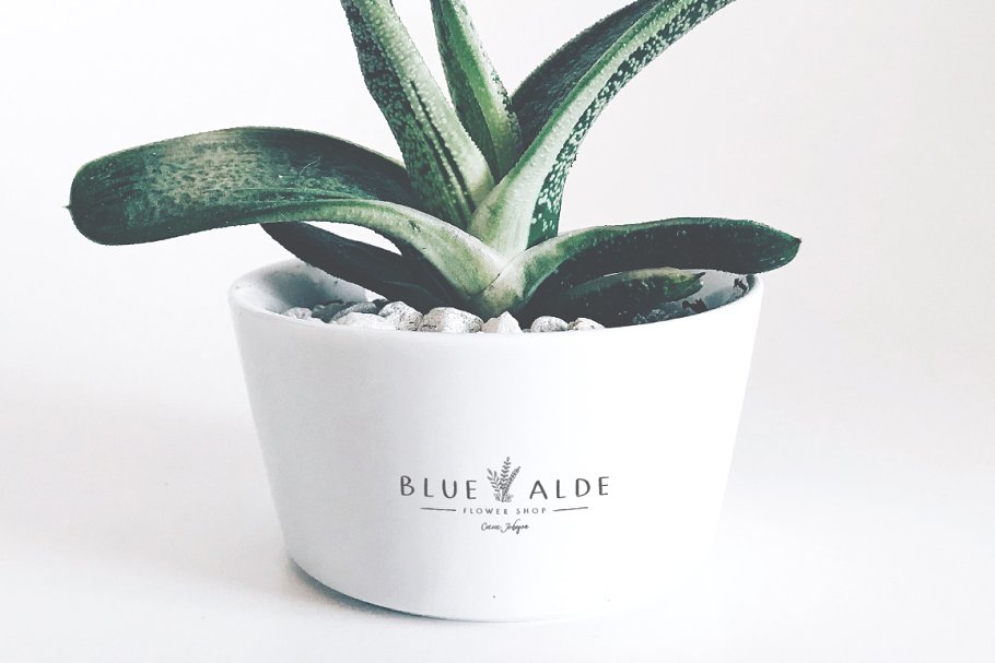 优雅艺术类Logo模板 Jar of Logos – 50 Logo Templates插图(1)