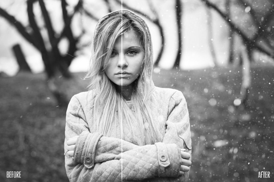 10款飘落雪花效果照片装饰叠层 10 Snowflake Photo Overlays插图(1)