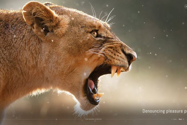 摄影作品展示页面PSD模板 Sepia Photo PSD Template插图(6)