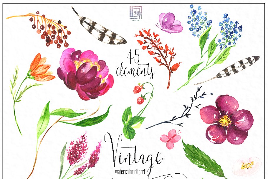 复古花卉和浆果水彩画插画 Vintage flowers & berry Watercolor插图(5)