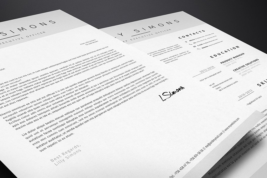 清新简约个人简历模板v3 Clean Resume Template Vol.3插图(3)