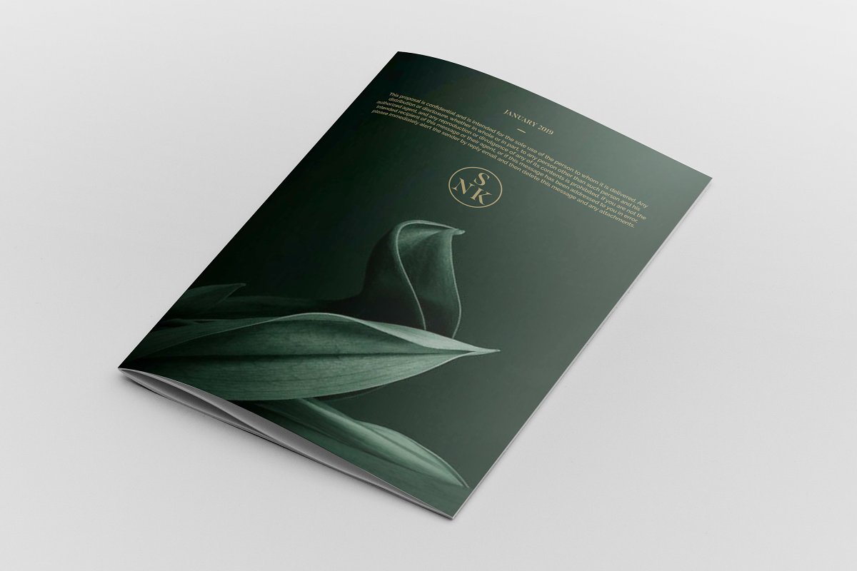 简约商业项目提案企业宣传册设计模板插图(11)