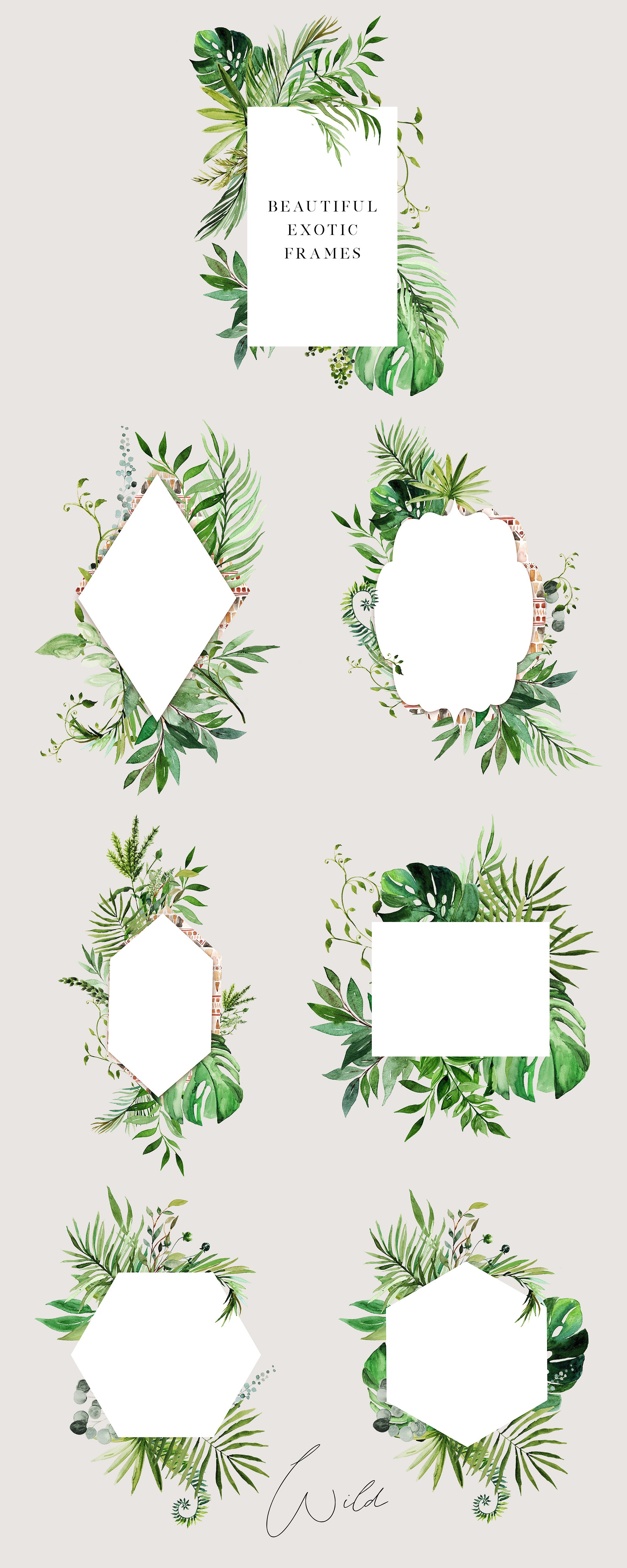 极简充满活力的丛林绿化矢量素材下载 2.05 GB[psd,png,jpeg]插图(7)