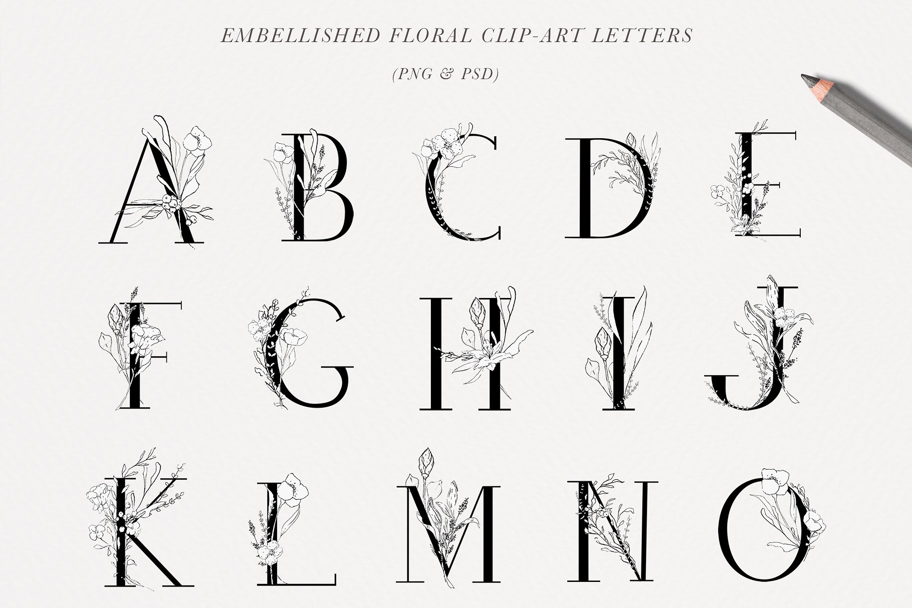 优雅风格手绘花卉插图&字母素材 Floral Alphabet & Illustrations插图(8)