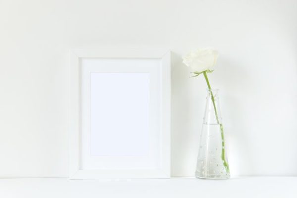 极简主义白玫瑰装饰画框样机 White frame mockup with rose