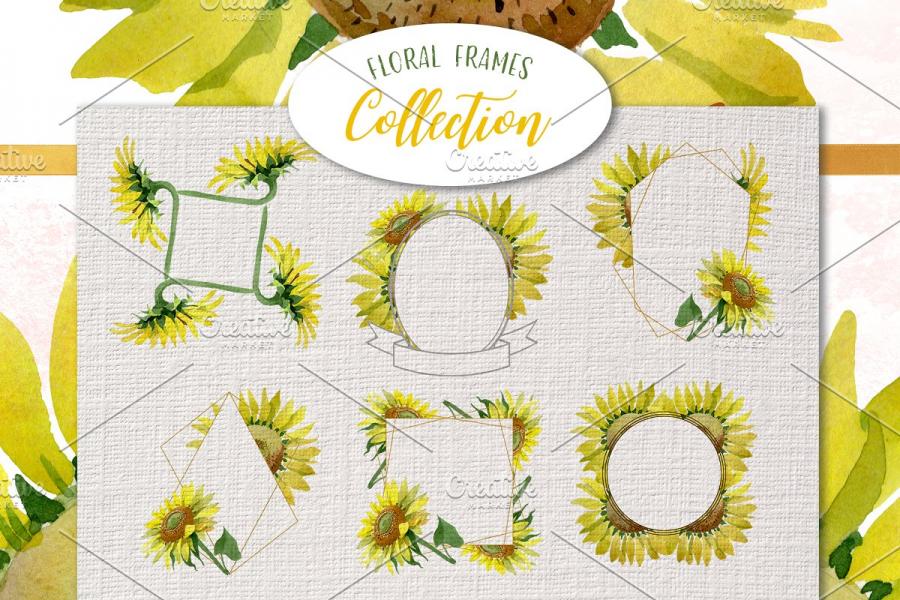 向日葵黄色水彩元素插画合集插图(4)