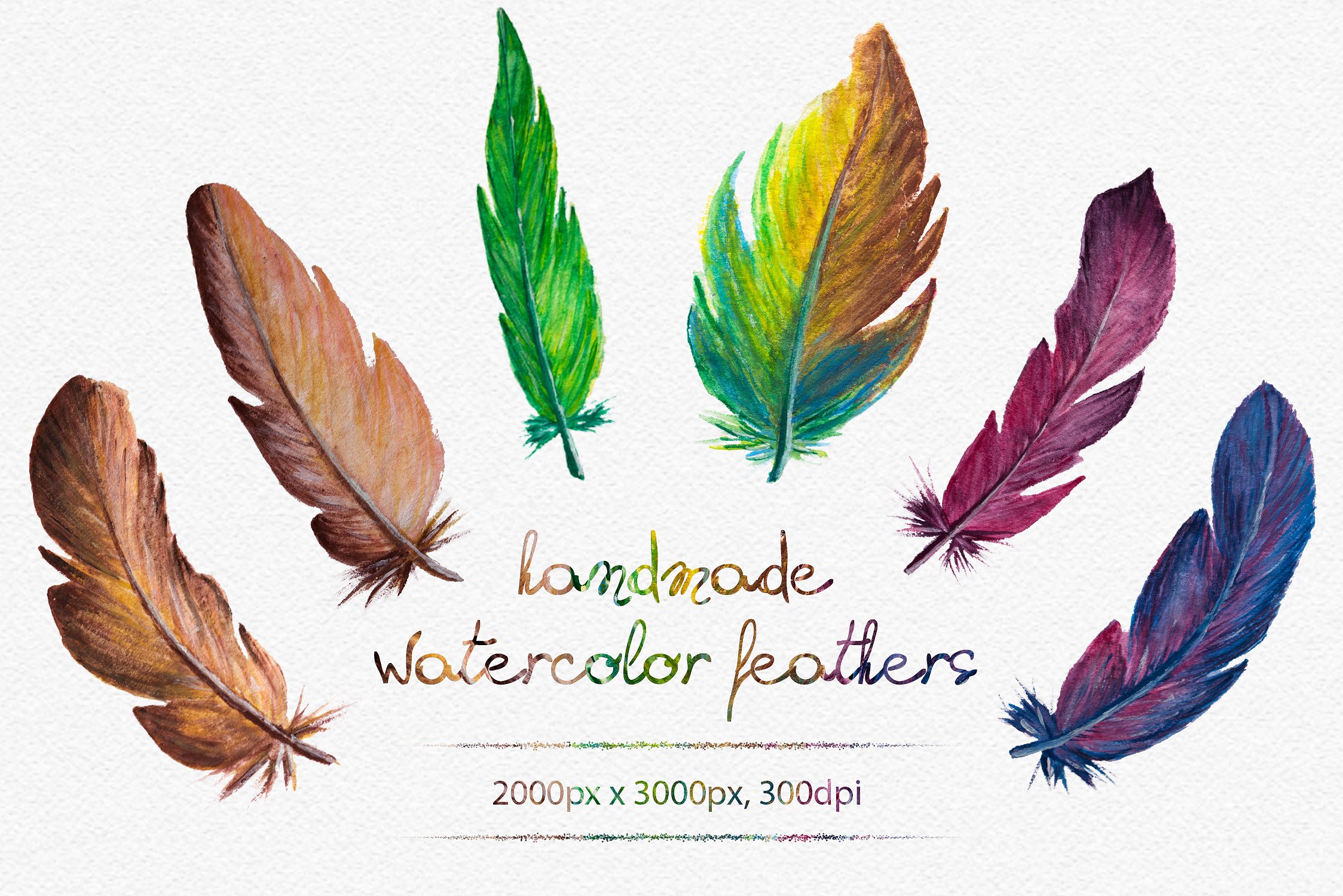 手绘水彩羽毛插画 Watercolor Feathers插图