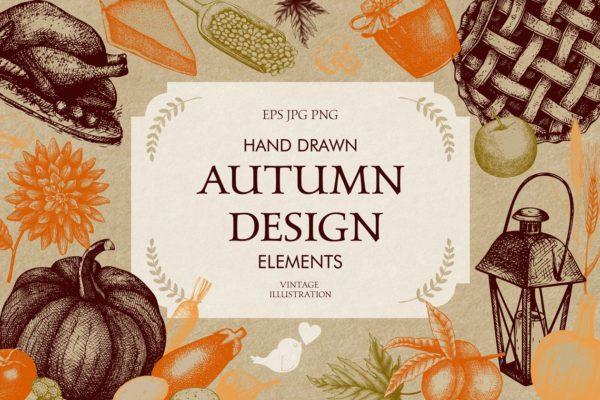 感恩节矢量元素设计套装 Vector Thanksgiving Day Design Set