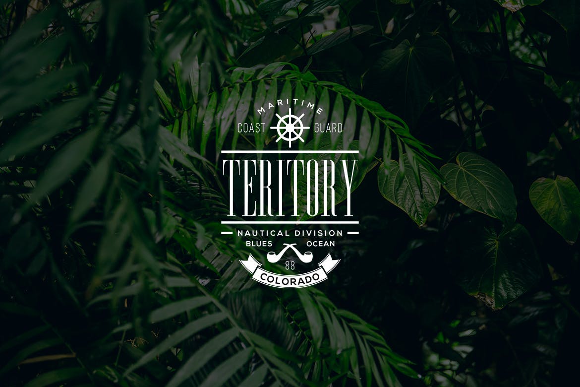 欧美复古设计风格品牌素材库精选LOGO商标模板v35 Vintage Logo & Badge Vol. 35插图(2)