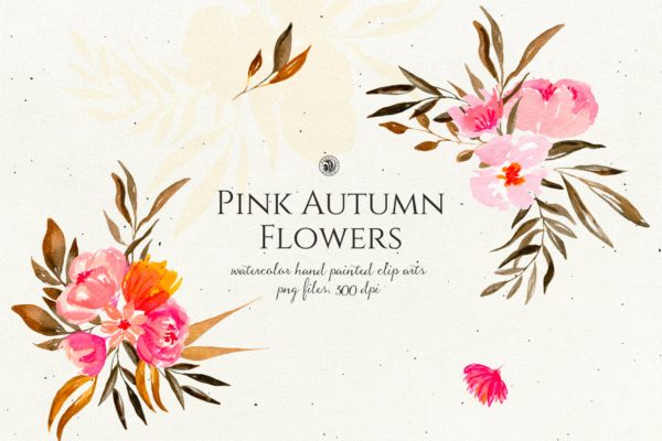 秋天粉色手绘花卉插画PNG素材v2 Pink Autumn Flowers vol.2