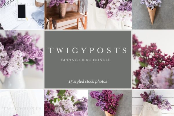 春天丁香花场景样机 Spring Lilac Stock Photos