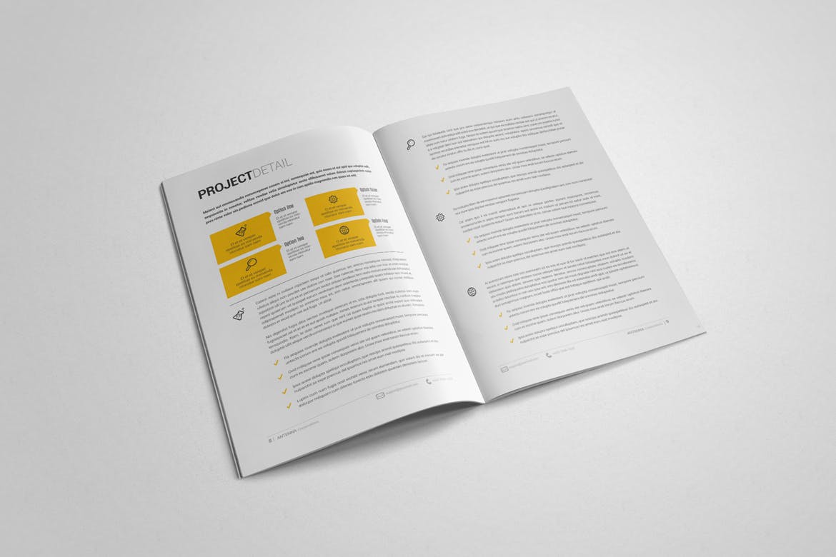 2019年优秀公司投标标书设计模板 Indesign Proposal Template插图(3)