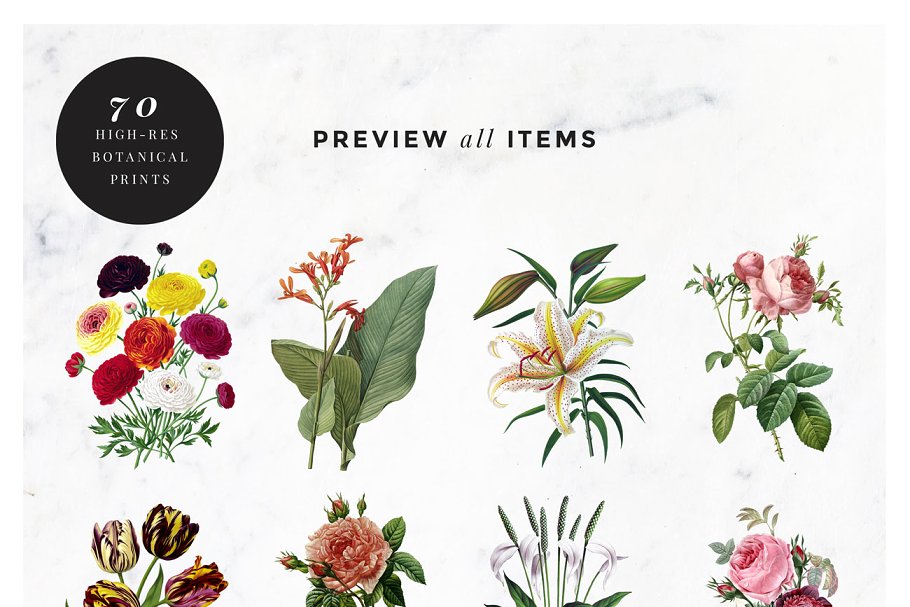 复古植物花卉剪贴画合集 Vintage Botanical Flower Bundle插图(1)