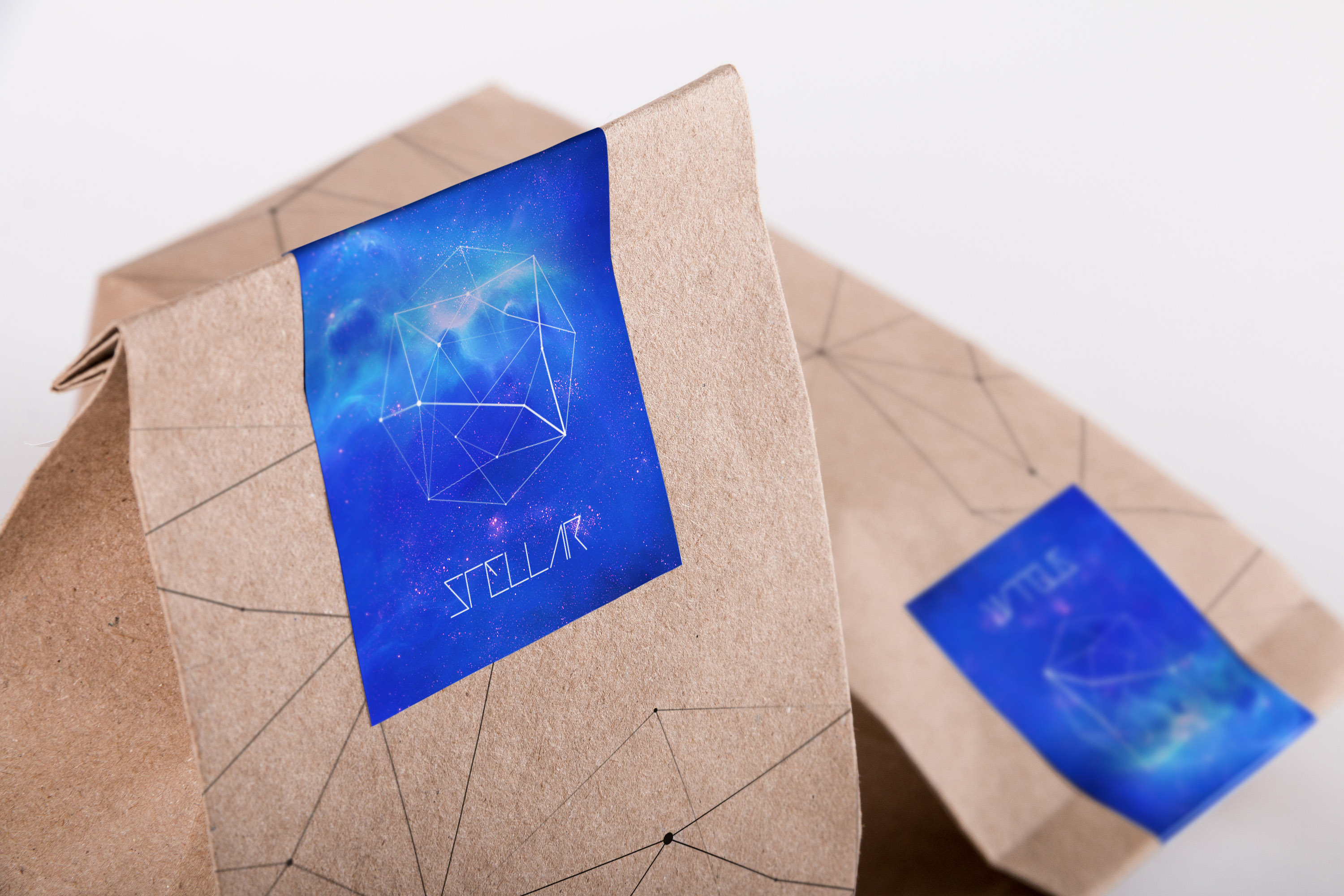 咖啡豆纸袋包装设计样机02 Coffee Bag Mockup 02插图