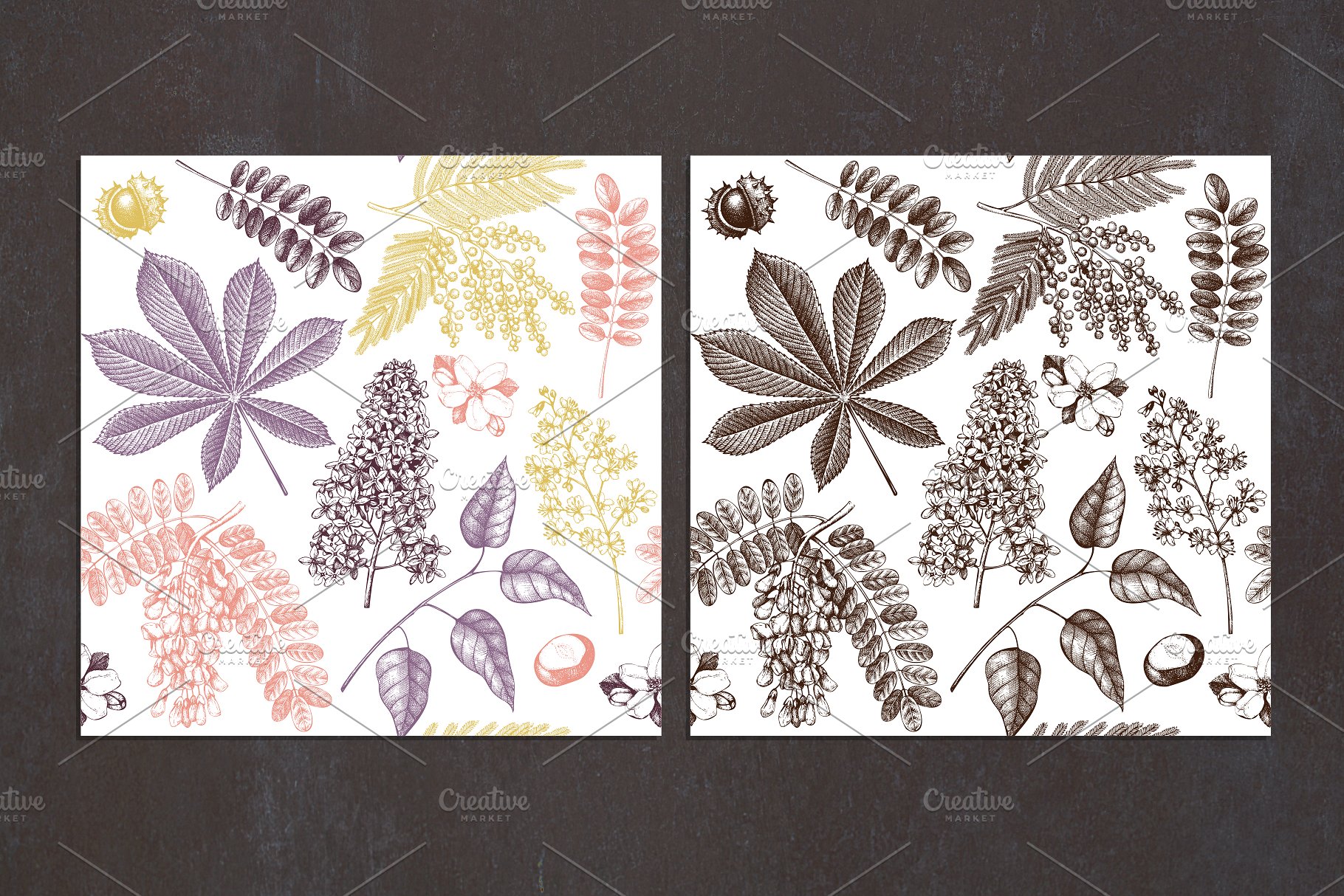 春季树木矢量插画素材 Vector Spring Trees Collection插图(6)