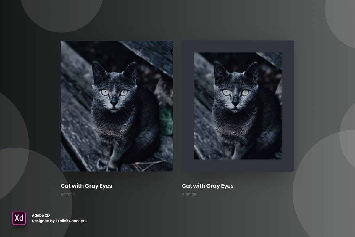 创意网站作品集悬停状态界面设计模板Vol.5 Portfolio Hover State Vol 05 – Adobe XD插图