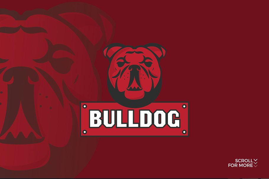 体育运动主题Logo模板合集 Sport Logo Bundle插图(10)