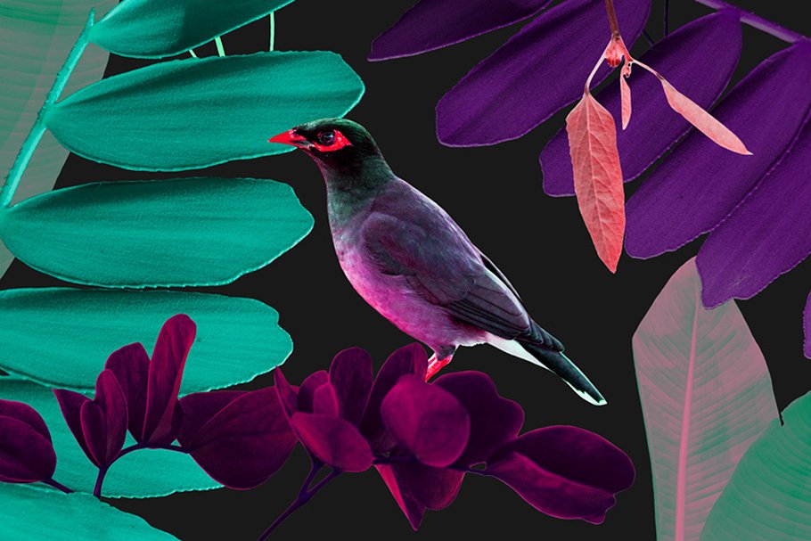 带叶的无缝花卉图案纹理 Seamless floral patterns with leaves插图(4)