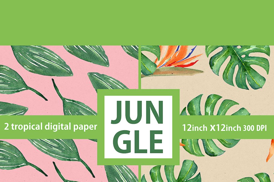 热带树叶树枝水彩画 Tropical leaves branches watercolors插图(6)