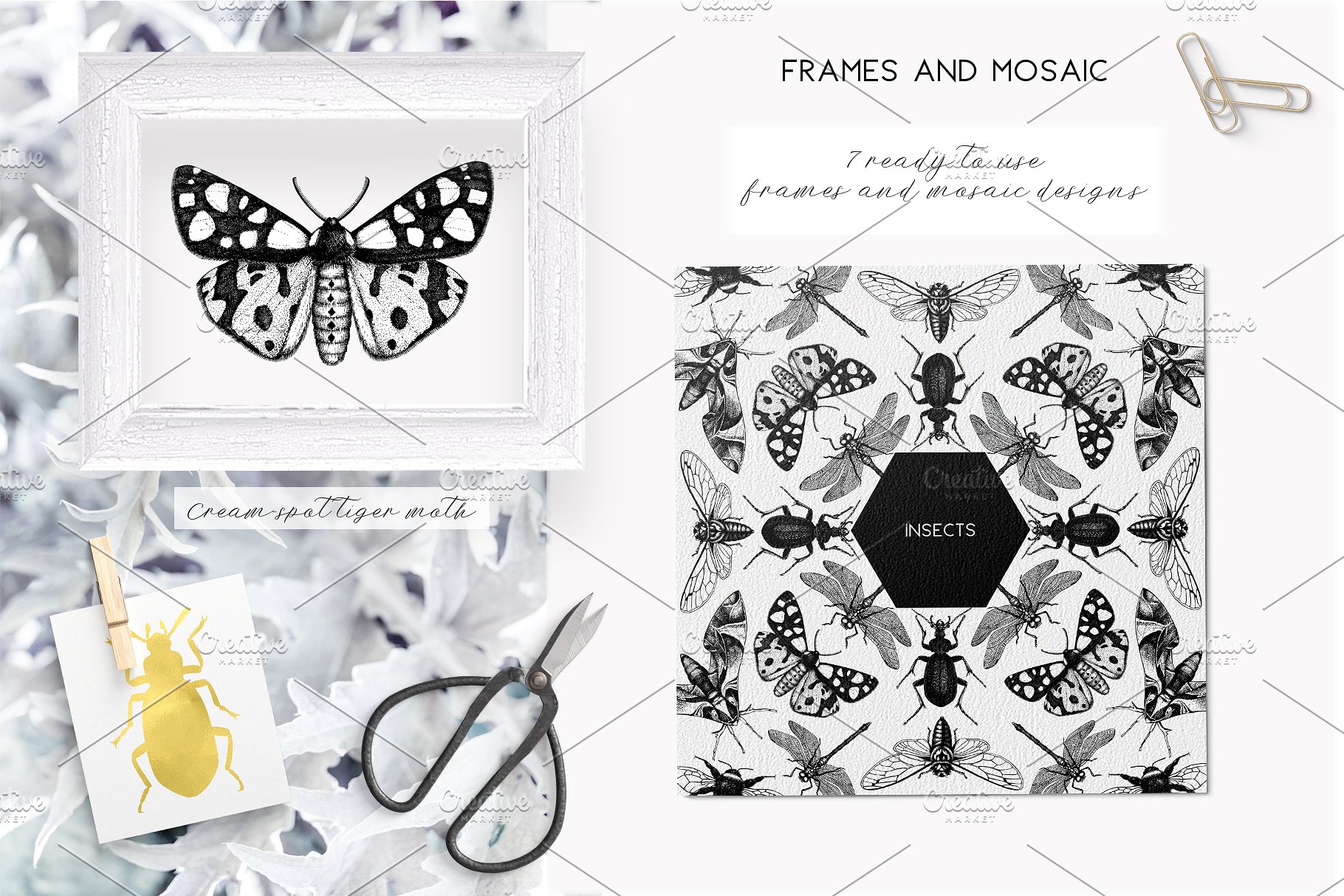 昆虫矢量插图集 Vector Insects Illustrations Set插图(4)